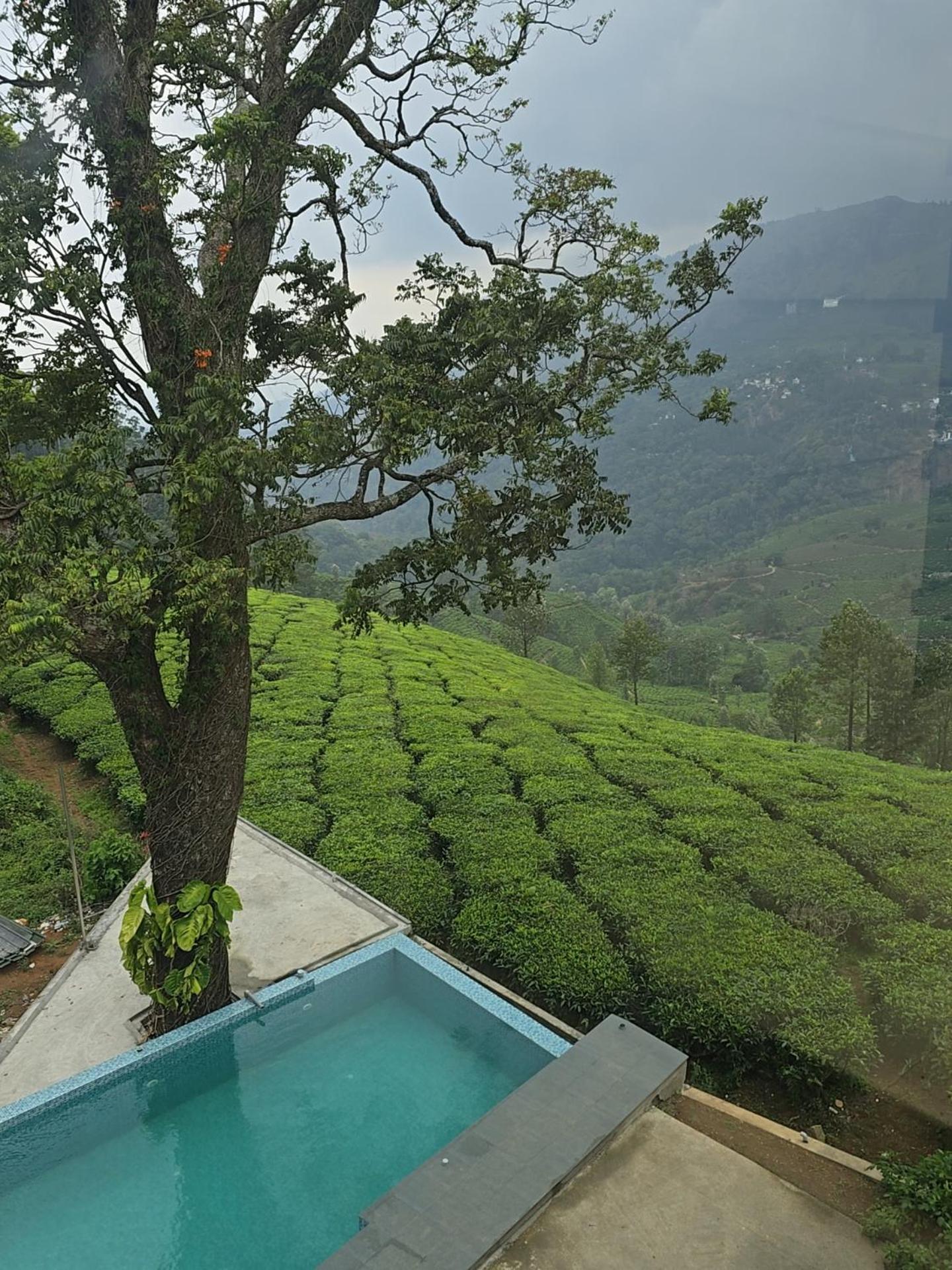 Beauty Spot Munnar Hotel Exterior photo